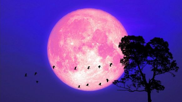 La Luna delle Fragole: un plenilunio di verità e ispirazione