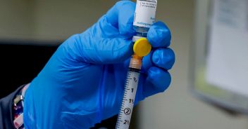 terni-vaiolo-scimmie