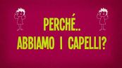 Perché in testa abbiamo i capelli?