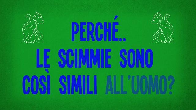 Perché le scimmie sono così simili all’uomo?
