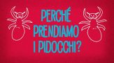 Perché prendiamo i pidocchi?