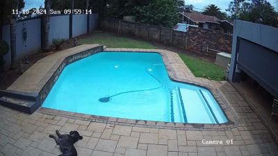 Tutto è calmo in piscina quando accade il disastro